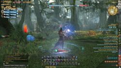 In einer Waldinstanz Final Fantasy XIV