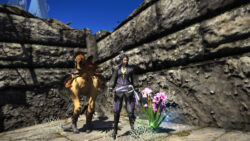 Auch eine feine Klamotte Final Fantasy XIV