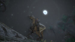 Der Mond schien helle.. Final Fantasy XIV