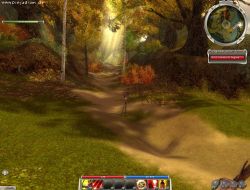 Guild Wars