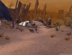 Guild Wars