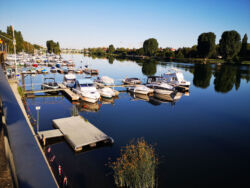 Der Heidelberger Yachthafen am frühen Morgen und bei "ganz ruhiger See" :D Juli 2018 - Heidelberger Yachthafen