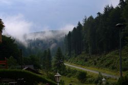 Juli 2017 - Wald und Wolken in Schönau