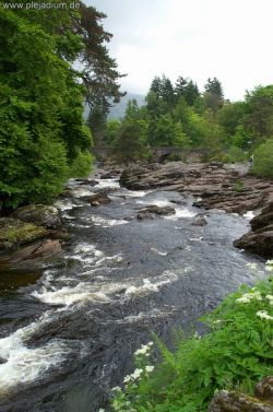 Irgendwo in Schottland... Schottland 2003