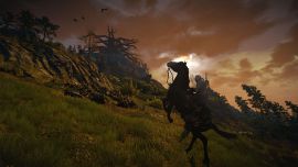Etwas Pferdedramatik unterhalb der Alten Eiche Witcher 3 - Alte Eiche