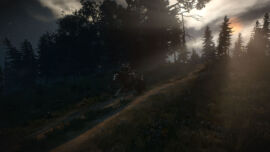 Geralt hat es eilig im Wald Witcher 3 - Galopp im Wald