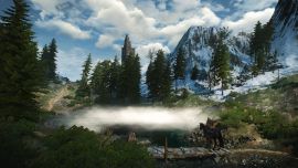 Witcher 3 - Skellige Landschaft