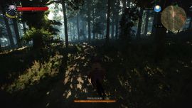 Geralt unterwegs im Wald Witcher 3 - Wald in Velen