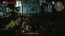 Witcher 3 - Wald in Velen