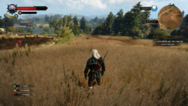 Feldarbeit..^^ Witcher 3