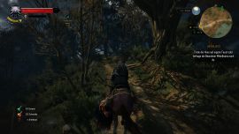 Unterwegs mit Plötze Witcher 3