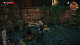 Witcher 3