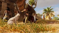 Bayek mag offenbar Katzen Assassins Creed Origins | Katze