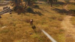 Mit dem Raubtierbogen Jagd auf Raubtiere Assassins Creed Origins | Löwenjagd