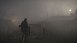 Regen und Nebel mit dem Washington Memorial im Hintergrund
