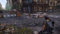 Habe den Hirsch gerade so geknipst, bevor er davonsprang :D Hirsch auf der Straße