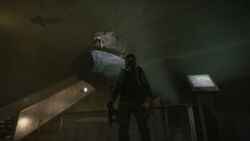 In einem virenverseuchten Naturkundemuseum In einem virenverseuchten Naturkundemuseum