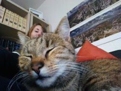 11/2016 - Luna und ich