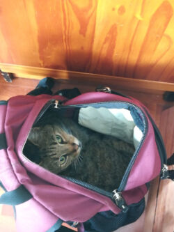 09/2017 - Spezialplatz gefunden