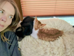 Warum sind die beiden so unfassbar süß? Zu sehen bin ich, ich schaue auf zwei kleine Katzen, die auf der Rückenlehne der Couch auf Schulterhöhe von mir schlafen. Die rot-weiße Katze kuschelt sich an die schwarze Katze.