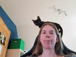 Balu klettert gern. Zum Beispiel auf meinem Schreibtischstuhl. Coolcoolcoolcoolcool Ich schaue genervt von oben in die Kamera. Oberhalb meines Kopfes balanciert ein schwarzer kleiner Kater auf der Kopflehne des Stuhls und schaut in die Kamera